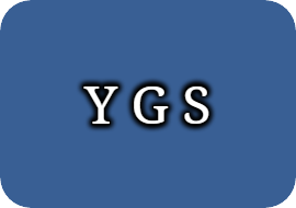ygs